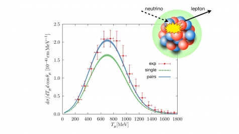 Understanding ghost particle interactions