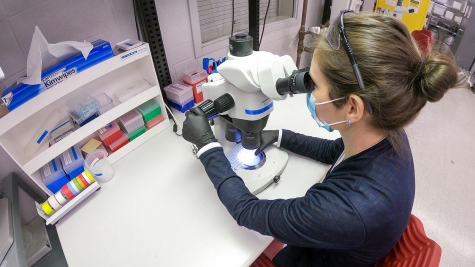 WTTW: Argonne National Lab’s Key Role in Global Pandemic Fight
