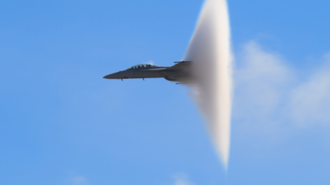 Sonic Crop Shutterstock Photo