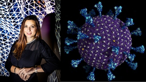 Decoding Disease Graphic