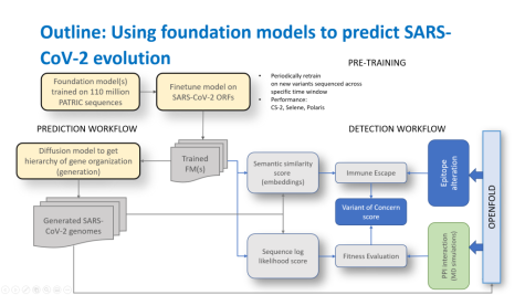 Workflow of using foundation models to predict SARS-CoV-2 evolution