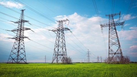 Shutterstock Graphic