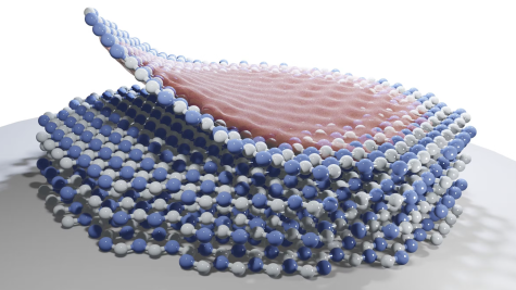 University of Texas Media Hit