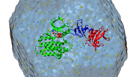 The Src-family of kinases are important enzymes for cellular signaling that can transfer a phosphoryl group from ATP to a target protein