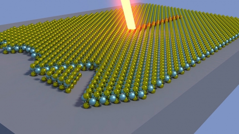 Computational synthesis and laser-induced patterning of a transition-metal dichalcogenide monolayer