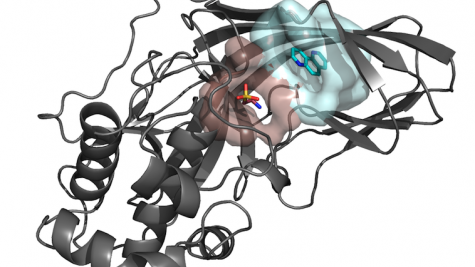 Interaction Simulations and Analysis