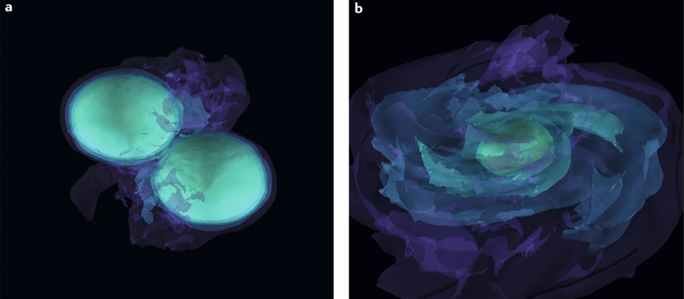 Enabling real-time multi-messenger astrophysics discoveries with deep learning