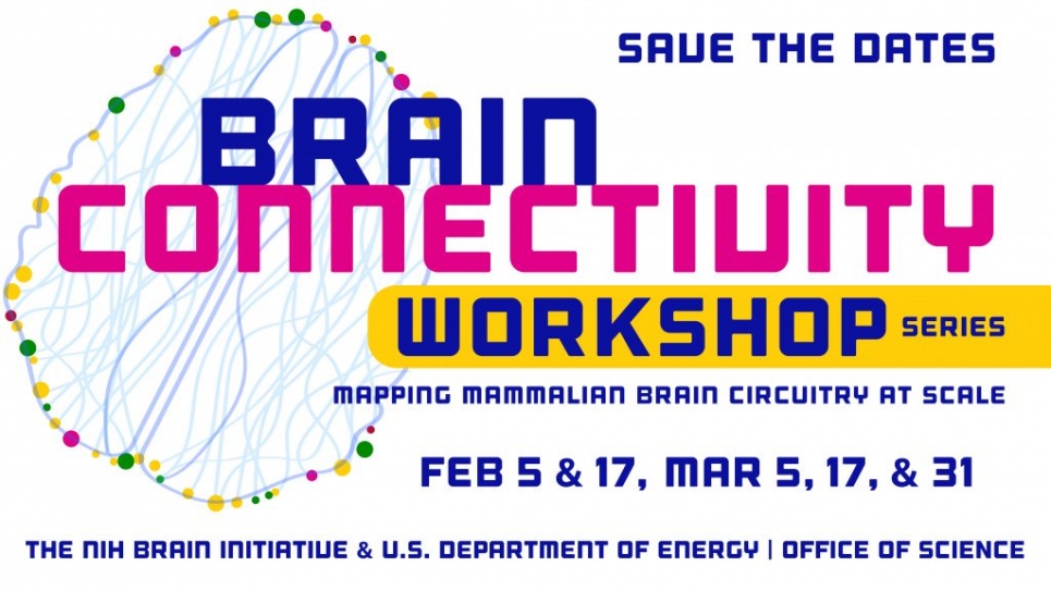 Brain Connectivity Workshop