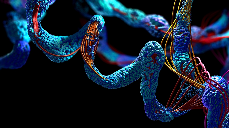 Proteins Shutterstock Graphic