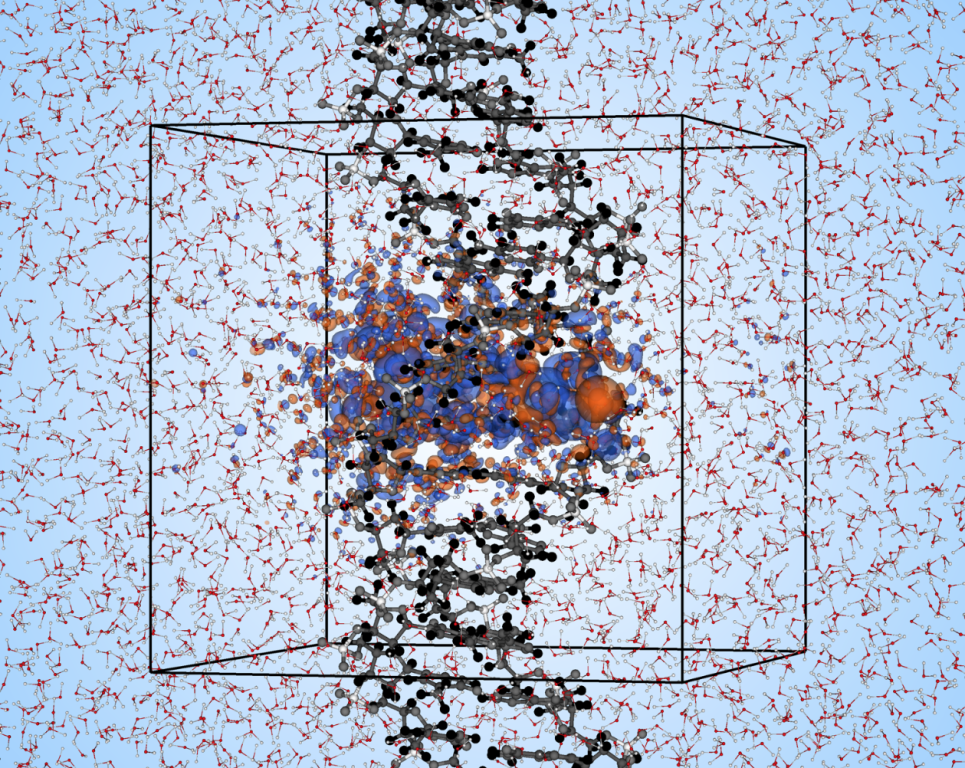 Simulation cell for solvated DNA