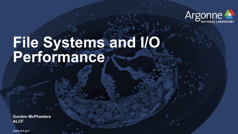File Systems and I/0 Performance 