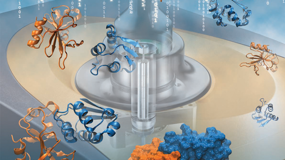 This so-called computational microcalorimeter was employed to determine the standard binding constant of the proteins barstar and barnase