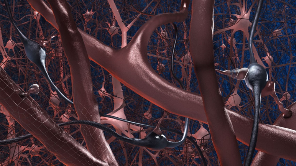 A visualization of 1 percentof the neurons in a digital reconstruction andsimulation of the neocortex.