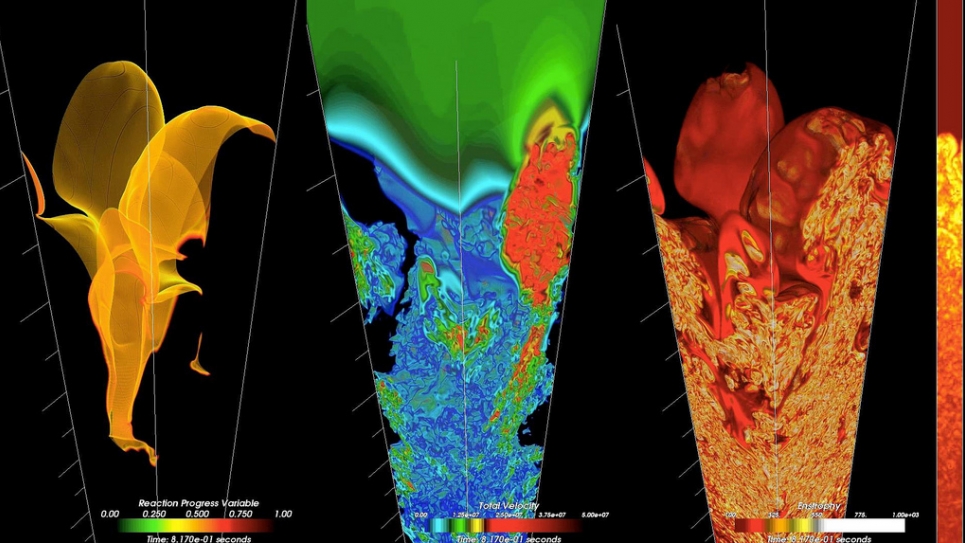 visualizations of nuclear combustion in a supernova