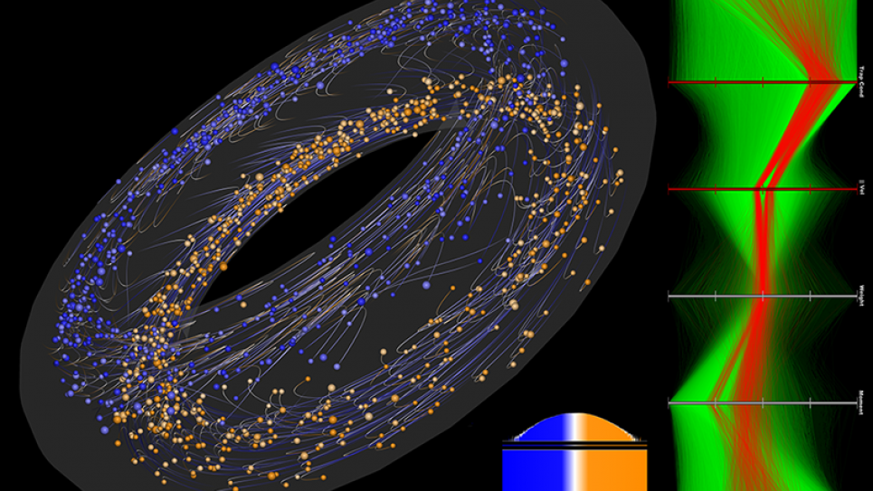 Particle visualization of a global gyrokinetic particle-in-cell simulation