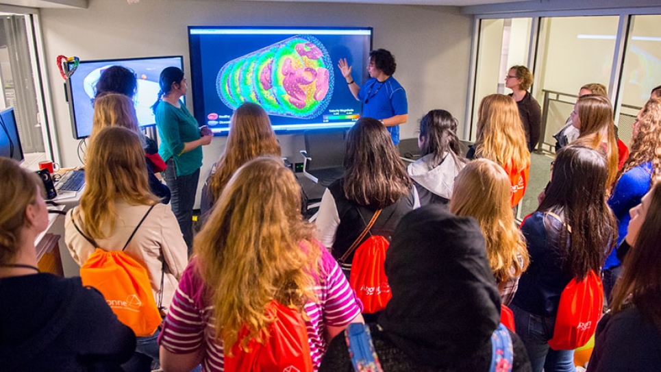 High school girls viewing a scientific visualization