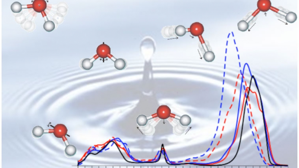 Infrared spectra of liquid water